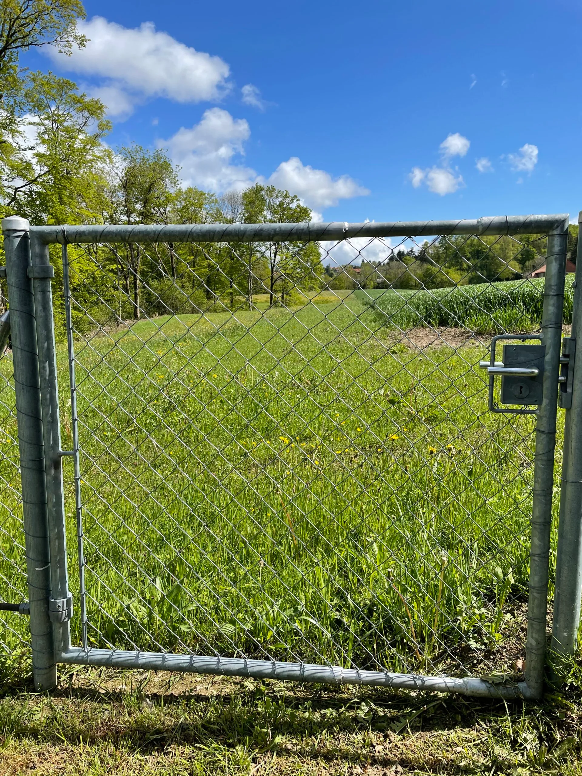 RénoCH s’occupe de toutes les étapes de la pose de votre clôture